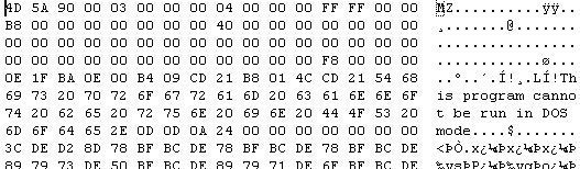 Grafik 3: PE-Datei. (Fidelis)