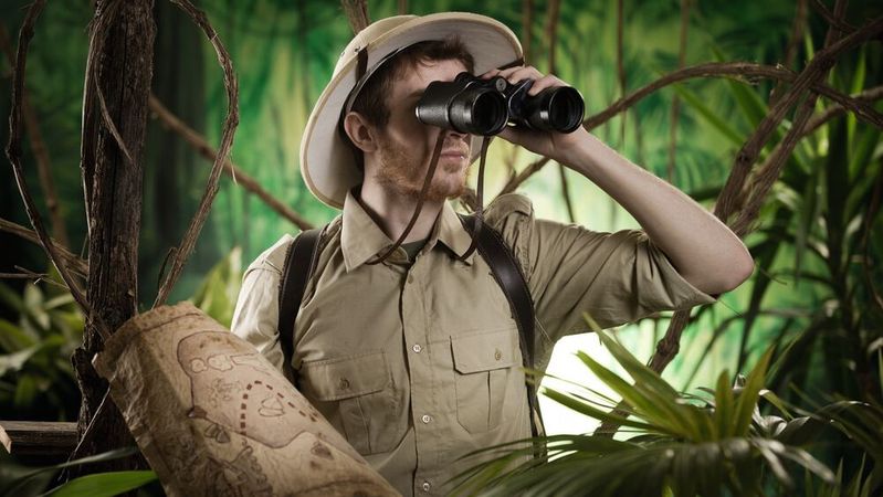 Mangelnde Weitsicht: Wenn sich Verantwortungswege im Dickicht von Zuständigkeiten verlieren, beginnen Führungskräfte, notwendige Risiken zu vermeiden, um bloß keinen Fehler zu machen.(Bild: ©  stokkete - stock.adobe.com)