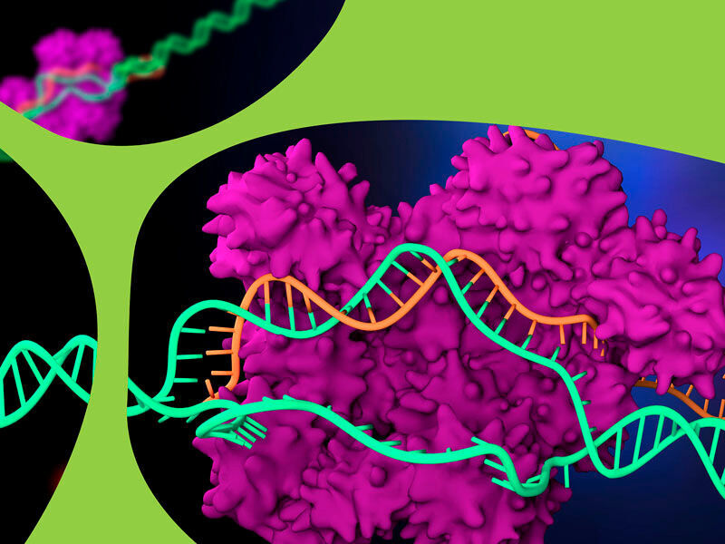 Ein fundamentales Genomeditierungstool von Merck soll bei der Identifizierung innovativer Therapien für zelluläre und genetische Erkrankungen helfen. (Merck)