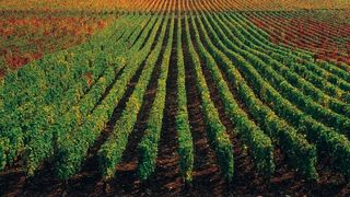  (Archiv: Vogel Business Media)