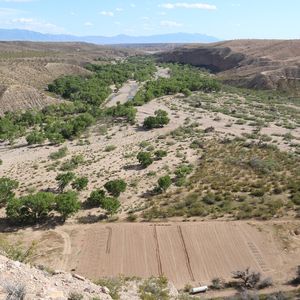 (Bild: Danny Kessler, MPI chem. Ökol.)