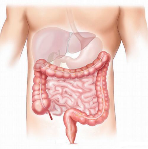Chronic liver disease is a major cause of morbidity and mortality worldwide and can result in liver cancer and liver disease-related mortality. Chronic liver disease is a major cause of morbidity and mortality worldwide and can result in liver cancer and liver disease-related mortality.