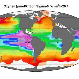 Die marinen Sauerstoffminimumzonen: Sauerstoffverteilung im Ozean in ca. 300m Wassertiefe