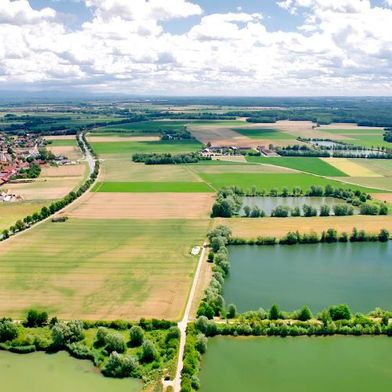 Landkreis Regensburg, Blick auf die Seen nahe Geisling: Hier soll ein Hyperscale-Rechenzentrum entstehen. Doch die Bürger sehen die Natur durch das Vorhaben gefährdet. (Bild: frei lizenziert)