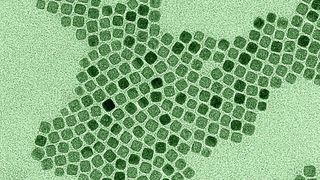 Würfelförmige Eisenoxid-Nanopartikel als neue Größenstandards für die Elektronenmikroskopie (Bild: Bundesanstalt für Materialforschung und -prüfung (BAM))
