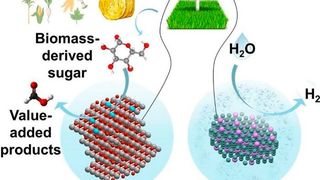 This schematic illustrates the solar-powered co-electrolysis strategy in which biomass-derived sugars undergo selective oxidation on a copper-doped cobalt oxyhydroxide catalyst to yield value-added products such as formate. Simultaneously, water is reduced at the cathode to generate high-purity hydrogen in a membrane-free reactor. The integrated process upgrades renewable biomass while reducing the energy demand of hydrogen production, offering a cost-effective pathway for green fuel generation.
 (Source: H.S.S. et al.)