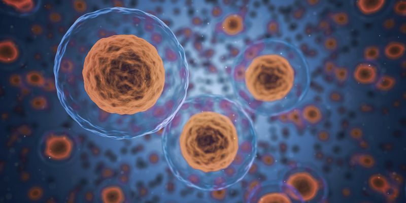 3D-Bioprinting  – Organs from the Printer   Problem: People are getting older and older, but our organs are not necessarily designed for such a long life. Whether through natural ageing processes or accidents: Every year, almost 10,000 patients in Germany alone look for a donor organ. But the number of voluntary organ donors is far too low to cover this demand. Goal: Artificially produced tissues and organs could provide a remedy. These could not only compensate for the lack of organ donors, but would also contribute to animal welfare. By using artificial tissue, for example, as skin models for drug tests, fewer animal experiments would be necessary.  Solution: 3D printing technology has long since been able to process bio-inks with cells and use them, for example, to print heart tissue or blood vessels. Pancreas or bones from the printer are also possible. Drug tests and toxicity studies can thus be carried out easily. To make the artificial tissue relevant for transplantation, the biochemical reactions of the body to the printed tissue must be better understood and controlled. Special sugar molecules on the cells are mainly responsible for the rejection or acceptance of transplants. The analysis of these molecules and their interplay will be a central building block for the future development of 3D bioprinting technology. (Picture: Pixabay/qimono)