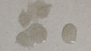 Gipskartonplatte hydrophobiert  (Bild: Hydro Chemie)