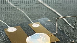 Die Grenze der Miniaturisierung erreicht der Einzelatom-Transistor, der in einem Gel-Elektrolyten funktioniert. (Arbeitsgruppe Professor Thomas Schimmel/KIT)