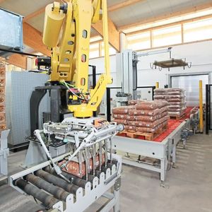Die Baureihe Beumer robotpac palettiert und depalettiert mit spezifisch entwickelten Greifsystemen unterschiedliche Packstücke.(Bild:  Beumer Group GmbH & Co. KG)