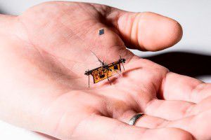 RoboFly: das Roboter-Insekt ist nur etwas schwerer als ein Zahnstocher. RoboFly: das Roboter-Insekt ist nur etwas schwerer als ein Zahnstocher.