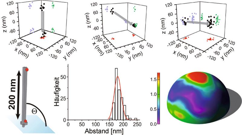 Abb. 4 Schematische Ansicht des 3D-Lineals (links unten), Lokalisierungsdiagramm für drei verschiedene Orientierungen (oben), Histogramm gemessener Abstände (Mitte unten) und Darstellung der Winkelverteilung der Nanosäule auf der Oberfläche (rechts unten) [7]. (Bild: TU Braunschweig)