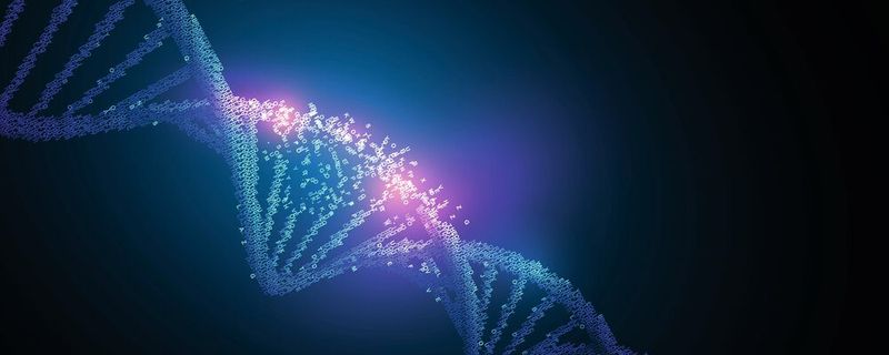 In vielen Organismen sorgt das Enzym Photolyase für die Reparatur von DNA. Angetrieben wird es von Lichtenergie.(Bild:  Aliaksandr - stock.adobe.com)