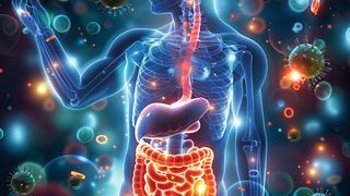 Die Psyche, Immunsystem und Mikrobiom stehen in enger Verbindung. Wissenschaftler haben nun eine direkte Verbindung zwischen Gehirnaktivität und Darmgesundheit identifiziert. (Symbolbild) (Bild: assia - stock.adobe.com / KI-generiert)