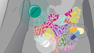 Medikamente können die Darmmikroben auf unterschiedliche Weise beeinflussen. (Bild: Isabel Romero Calvo/EMBL)