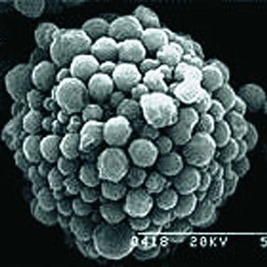 Sicher und Beständig trocken aufgetragen: Das Farbpigment Titandioxid (TiO2) auf Nylon (Teil I).