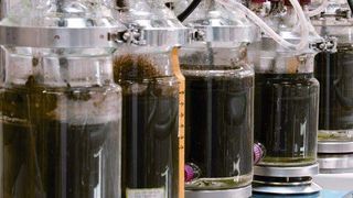 In anaeroben Labor-Bioreaktoren werden die Reststoffe aus der Olivenölproduktion vergoren. (Bild: Fraunhofer-Institut IGB)