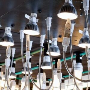 Pflichten und Grenzwerte für LEDs in der Beleuchtung