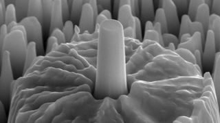 Mit dem Rasterionenmikroskop hergestellte Kupfer-Zink Mikrosäulen  (Bild: INM)