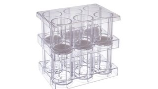 6040002-01 (Ratiolab GmbH)