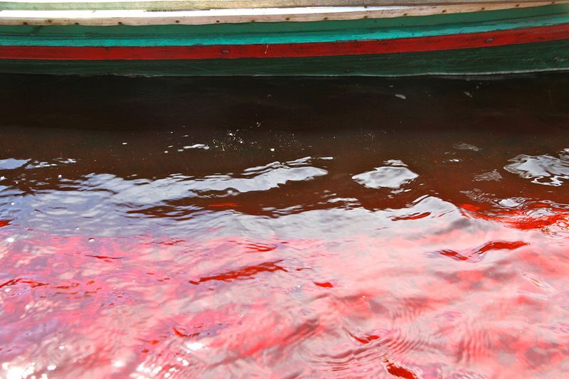 Neben der Regenwaldvernichtung leidet die Region ebenfalls unter der Anwendung von giftigem Quecksilber zur Gewinnung von Gold im Amalganverfahren. Eine Verbesserung der Situation erhoffen sich Umweltorganisationen wie das Blacksmith Institut durch Bildungsarbeit bei den Goldschürfern.(Bild: Utenriksdepartementet UD on June 7th, 2012 - CC-BY-ND 2.0, https://www.flickr.com/photos/utenriksdept/7351548268/) (Bild: Utenriksdepartementet UD)