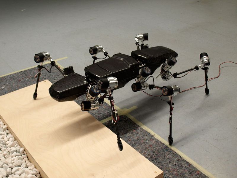 Zwar ist Hector in Sachen Intelligenz Insekten noch weit unterlegen, aber schon bei der Beinkoordination werden komplexe Sensordaten verarbeitet. Er kann alleine laufen und reagiert auf Hindernisse. (Maxon Motor)