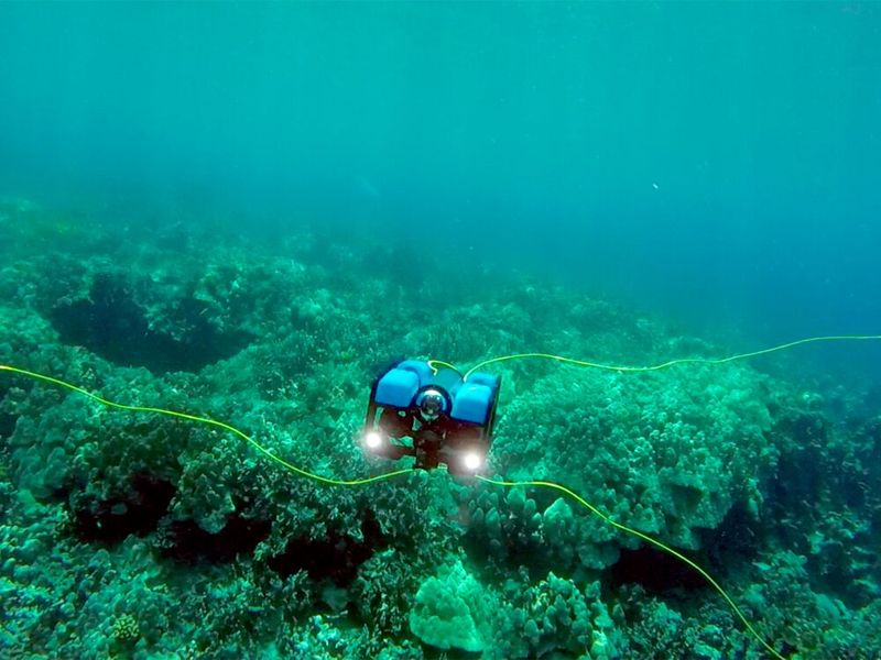 Die Variante T3U erlaubt den Einsatz in der Tiefsee: Hohe Drücke oder Salzwasser, kein Problem. (Beispielbild eines Tauchroboters von Blue Robotics) (Bild: Blue Robotics)
