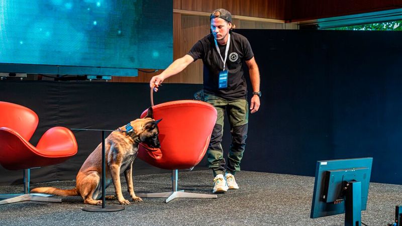 Für Abwechslung sorgten Martin Wernet und Datenträgerspürhund Ace (Schwarzwald Dogs), die gemeinsam nach einem versteckten USB-Stick fahndeten. (Bild: dtm group)