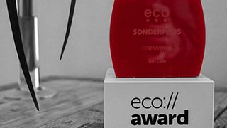 Im vergangenen Jahr wurde Tim Cole mit einem Sonderpreis für sein Lebenswerk geehrt.  (Eco - Verband der Internetwirtschaft e. V. a)