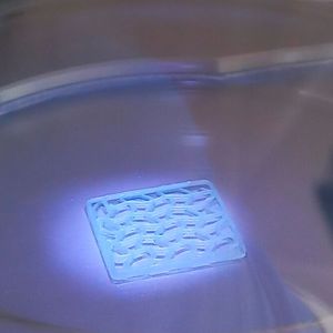 UV-Vernetzung eines gedruckten Hydrogels aus methacrylierter Gelatine(Bild:  Fraunhofer IGB)