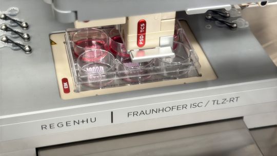 3D Printing of Freestanding Lattice Structures(Source:  K. Selsam/Fraunhofer ISC)