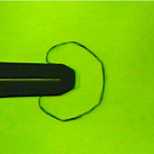 (Maddalena Bayer-Giraldi)