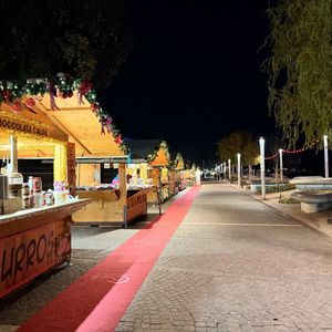 Christmas market in Italian style(Image: Daniel Killy/SP-X)