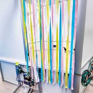 (© Damian Gorczany)