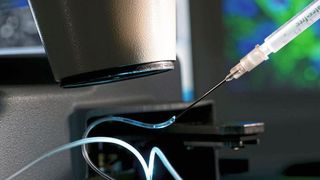 Ein Fettchip unter dem Mikroskop: Über die Spritze wird ein Wirkstoff eingebracht, um das Verhalten und die Reaktion zu untersuchen. (Fraunhofer IGB)