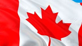 Plug Power has been awarded the Feed contract to supply a 275 MW Geneco PEM electrolyzer system for Hy2gen Canada’s “Courant” project. (Source: Pixabay)