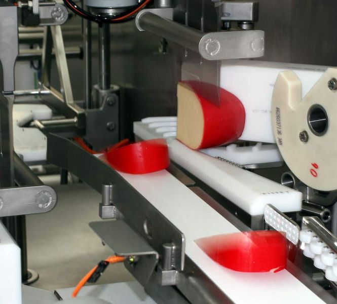 Segmentiert: An der Schneidestation werden die Käse-Halblaibe in Segmente geteilt und zur Verpackungsmaschine transportiert. (Archiv: Vogel Business Media)