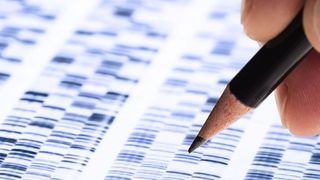 Die für Chorea Huntington ursächliche Genmutation liegt auf dem Chromosom 4; dort findet sich eine pathologisch häufige Wiederholung der Dreibasen-Abfolge CAG. (Symbolbild) (©Eisenhans - stock.adobe.com)