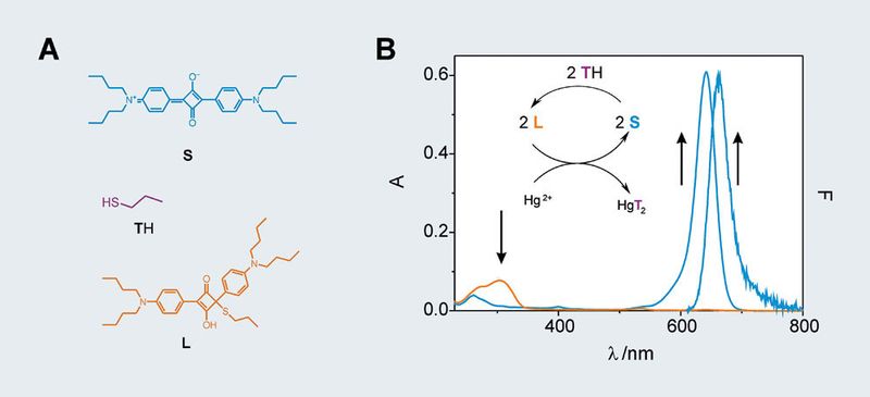 Abb.2: A: Chemodosimetersystem 2 bestehend aus Farbstoff S, seiner Leukoform L und dem Passivierungsreagenz TH.  B: Indikations- und Regenerationszyklus für den Hg2+-Nachweis (Pfeile zeigen die spektralen  Änderungen beim Übergang 2 L + Hg2+ Ø 2 S + HgT2 an) sowie Absorptions- und Fluoreszenzspektren  der S- und L-Form; letztere ist nahezu nicht fluoreszent. (Archiv: Vogel Business Media)