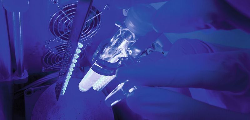 Bestrahlungsapparatur im Institut für Anorganische Chemie I: Hier wurden Messungen für die aktuelle Publikation durchgeführt (Heiko Grandel)