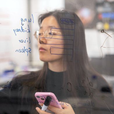 Empa-Forscherin Jimeng Wu hat mit einer virtuellen Maus eine Alternative zu Tierversuchen geschaffen: die KI-unterstützte Maus kann berechnen, welche Nanopartikel in die Lunge, die Nieren, die Leber und die Milz einer Maus gelangen und wo sie sich ansammeln. (Bild: Empa)