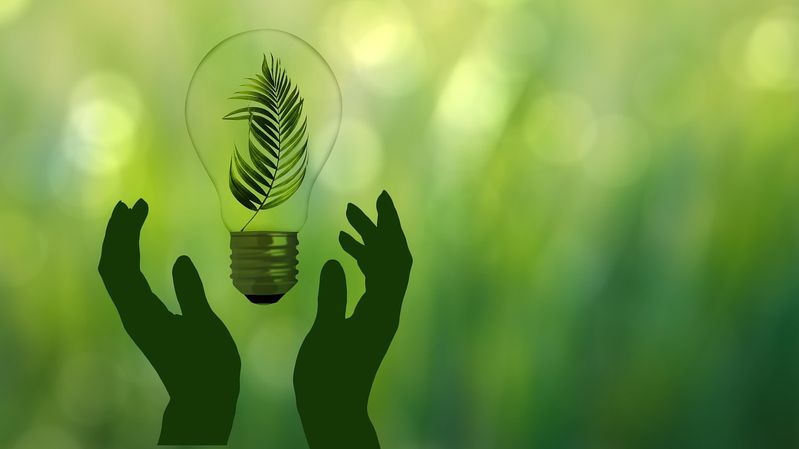Wie nachhaltig sind Biokunststoffe wirklich?(Bild:  geralt /  Pixabay)