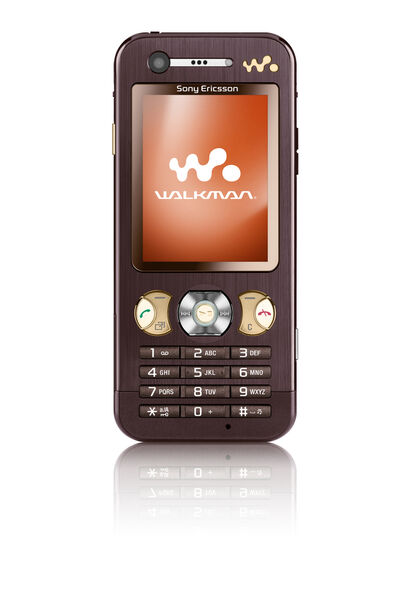 Das W890i ist ein Walkman-Handy mit einer 3,2-Megapixel-Kamera und einem zwei Gigabyte Speicherstick. (Archiv: Vogel Business Media)