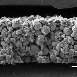 (Bild: Irmgard Buchberger / TUM)