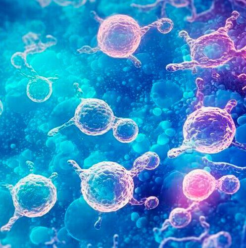 Human cells contain approximately 20,000 protein-encoding genes. Human cells contain approximately 20,000 protein-encoding genes.