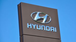 96463198 (Foto: Wehner)