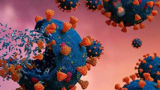 The researchers showed that the CAP, a plasma-based disinfection method is a better alternative to environmentally hazardous chemical-based decontamination methods.  (dottedyeti - stock.adobe.com)