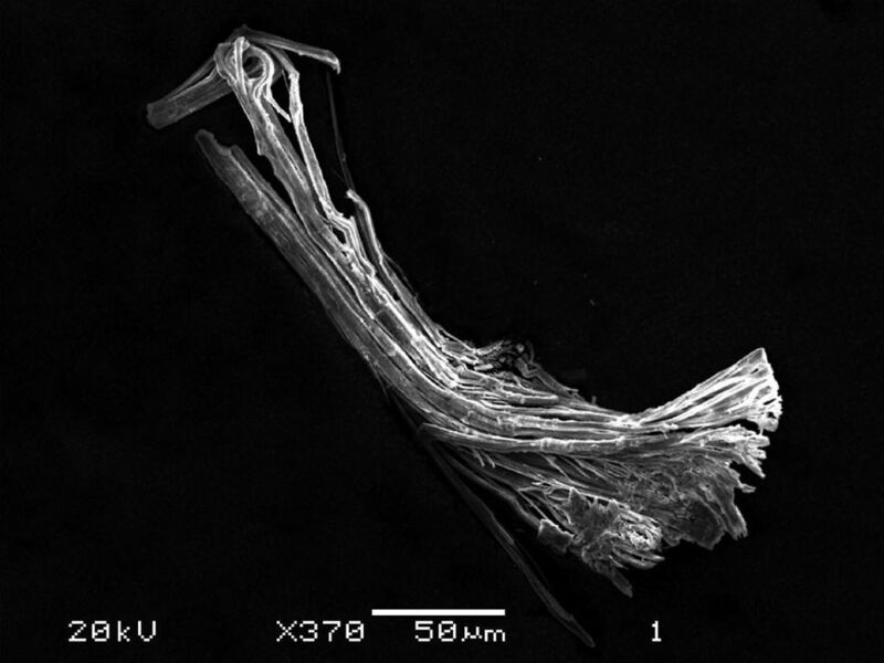 Mikroskop-Aufnahme der Bronze-Nanoröhrchen  (Bild: Andrea Hoffmann/TUM)