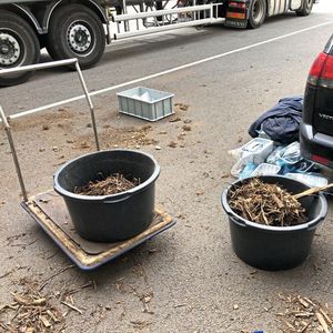 Probennahme bei der Anlieferung fester Brennstoffe: Solche Proben verschiedener Kraftwerke gingen – neben zahlreichen weiteren Materialien – in die Prüfung des Geräts zur Röntgenfluoreszenzanalyse ein(Bild:  Felix Endriss/Hochschule für Forstwirtschaft Rottenburg)