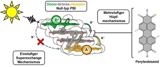 So sieht der in Würzburg synthetisierte Viererstapel aus Farbstoffen aus. Er bedeutet einen weiteren Schritt hin zur künstlichen Photosynthese, weil er Lichtenergie absorbiert und sie im Stapel schnell und effizient weiterleitet. (Bild:  Leander Ernst / Universität Würzburg)